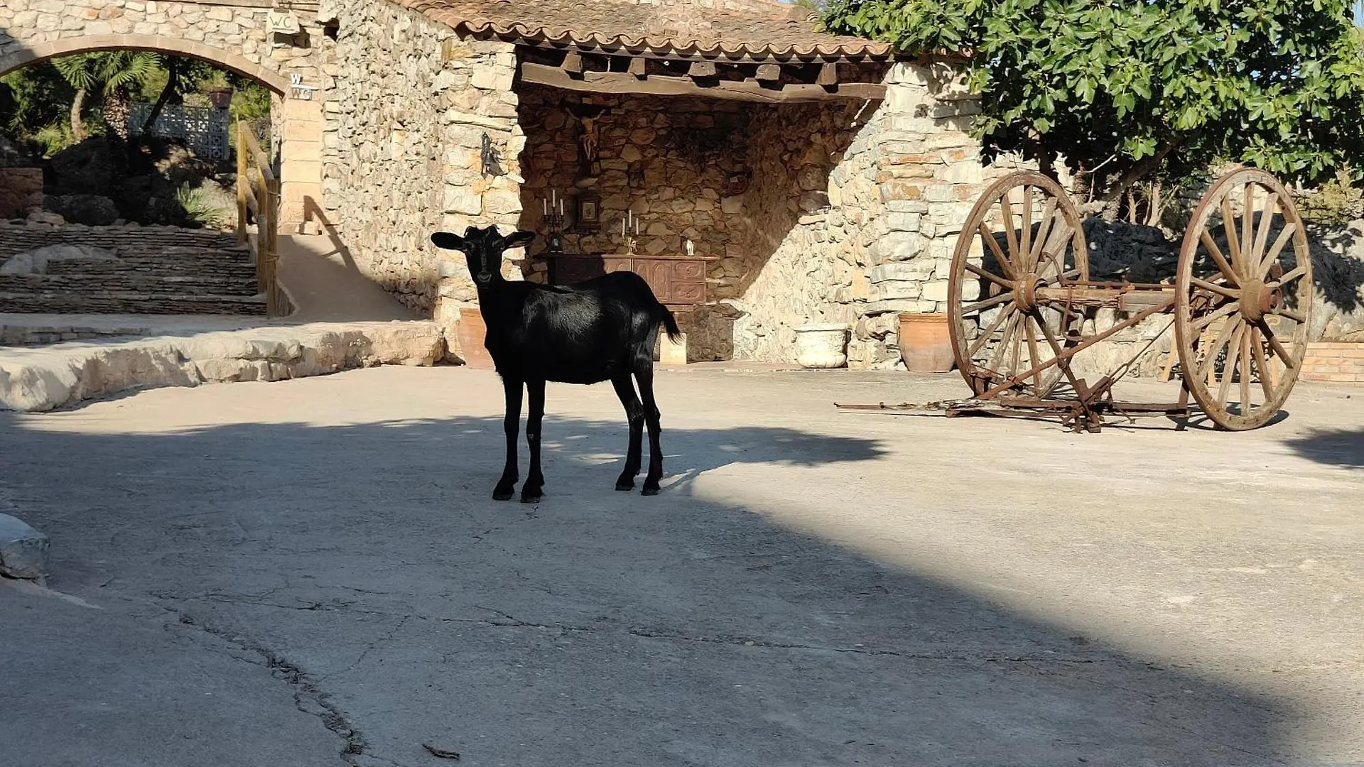 Landsted Agroturismo Sa Duaia Artá